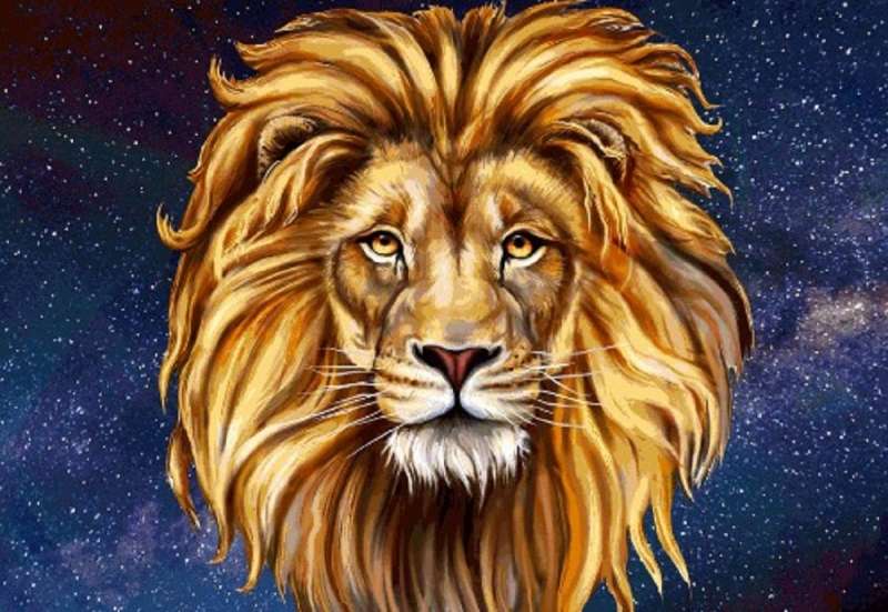segno zodiacale leone 2