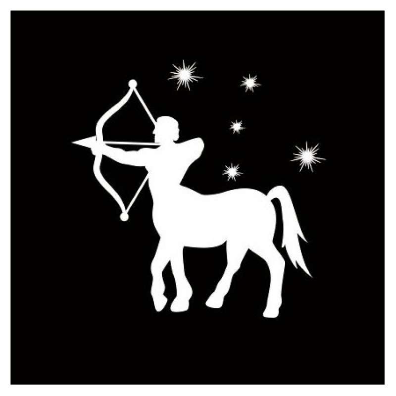 segno zodiacale sagittario 14