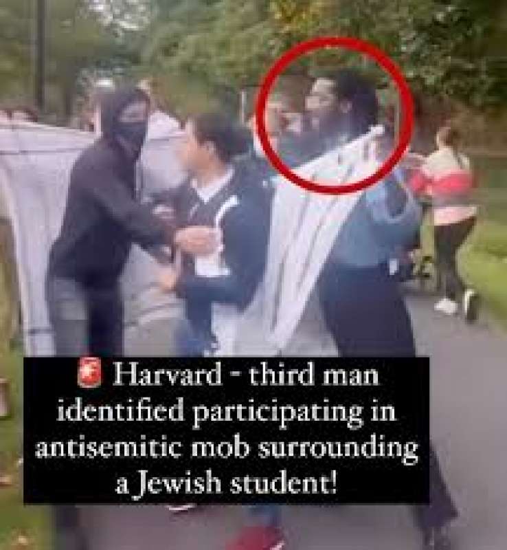studente ebreo aggredito durante protesta pro palestina a harvard 3